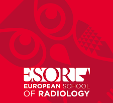 ESOR Visiting Professorship Programme Ukraine “Female Pelvis Imaging” 