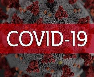 16.04., 21.04., 29.04.2020 ЗА ПІДТРИМКИ БАЙЕР - ВЕБІНАР «COVID-19: для лікарів без зайвих слів»